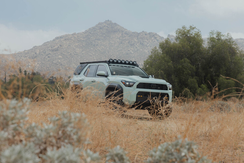 Toyota 4Runner Exterior Window Molle Panels - Passenger - DV8 Offroad - DV8 5th Gen 4Runner Roof Rack (RRTF3-02) - Black - `25-`26